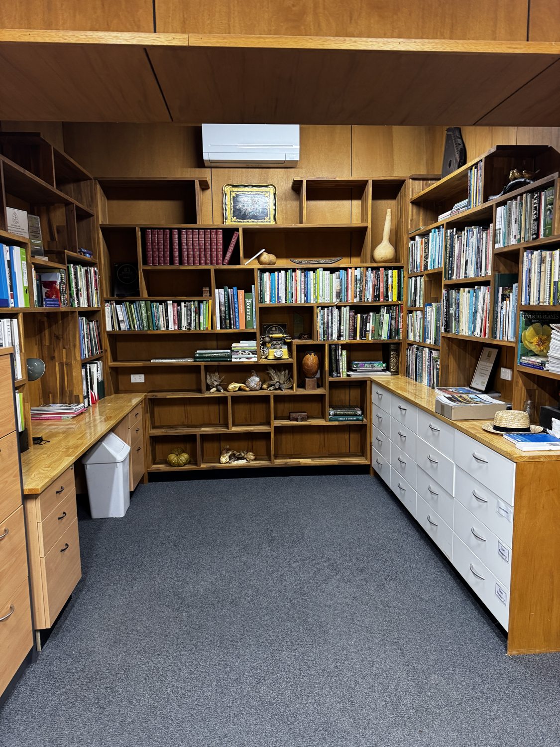 Office and library electrical fit-out — power, data and lighting, Melbourne eastern suburbs